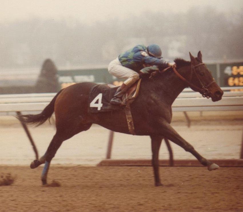 Winning at Aqueduct