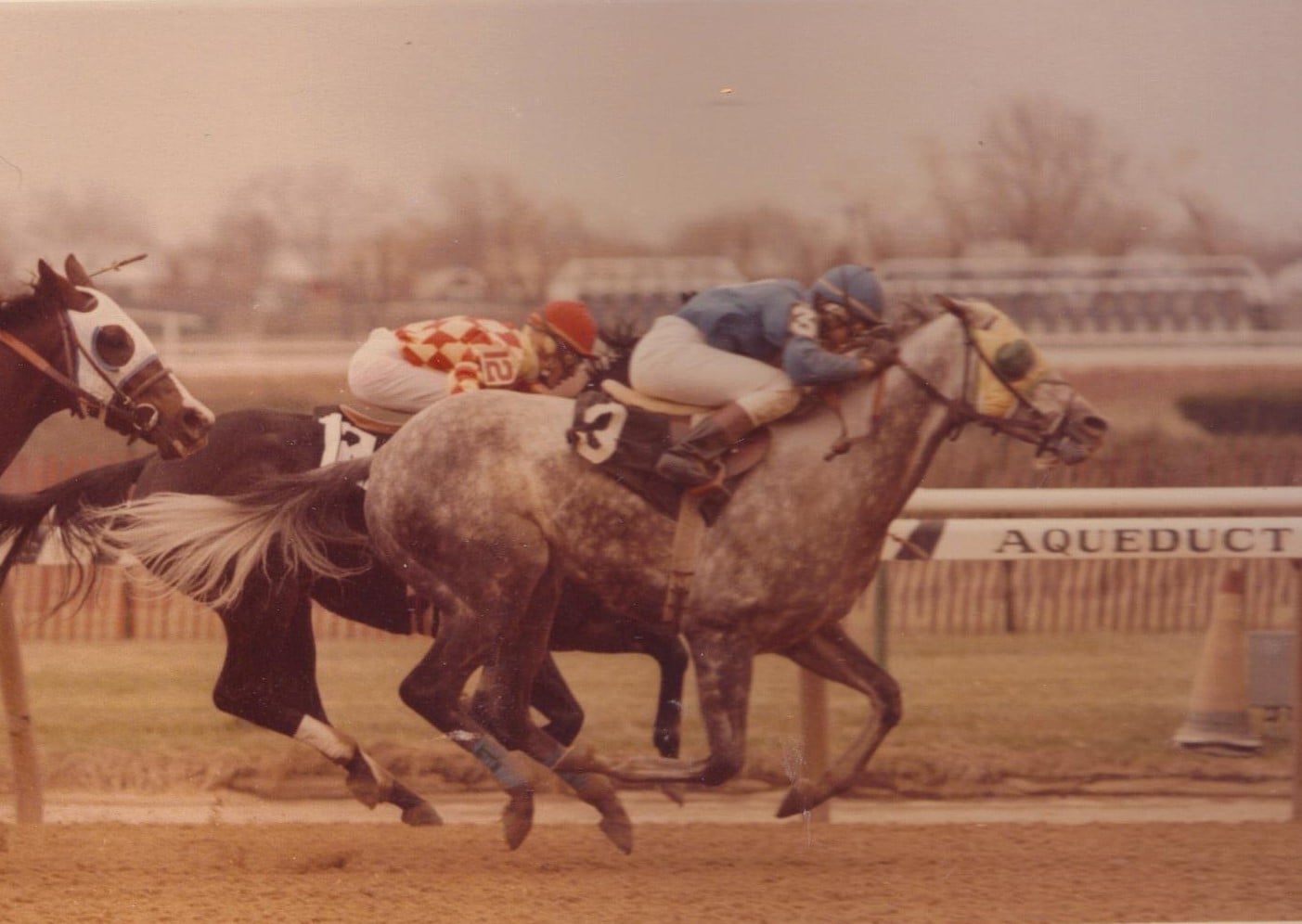 Northern Snipe Winning Karen Rogers last race